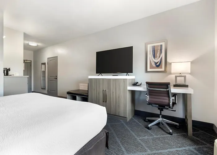 Luxury hotel only: Wyndham Garden Appleton